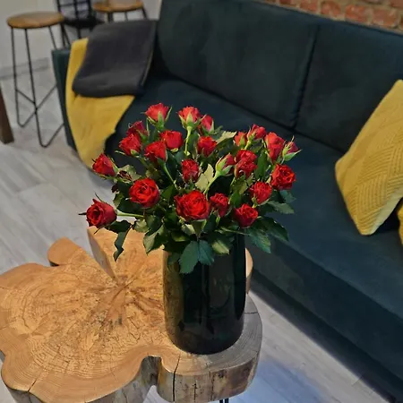 Loft Maly * Kościerzyna